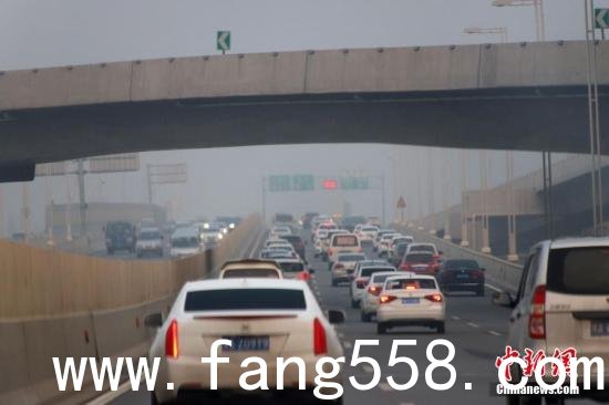 11月12日，河南郑州大雾弥漫。图为车辆在公路上行驶。/p中新社记者 王中举 摄